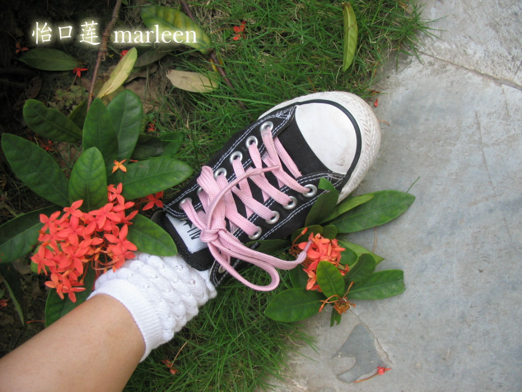 淡淡猫香全部丝袜套图大合集 2